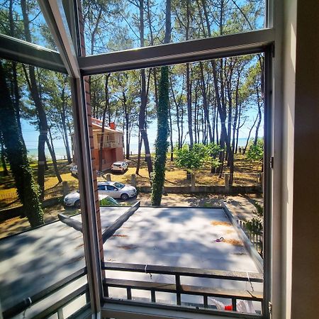 Gina Shekvetili Hotel Luaran gambar