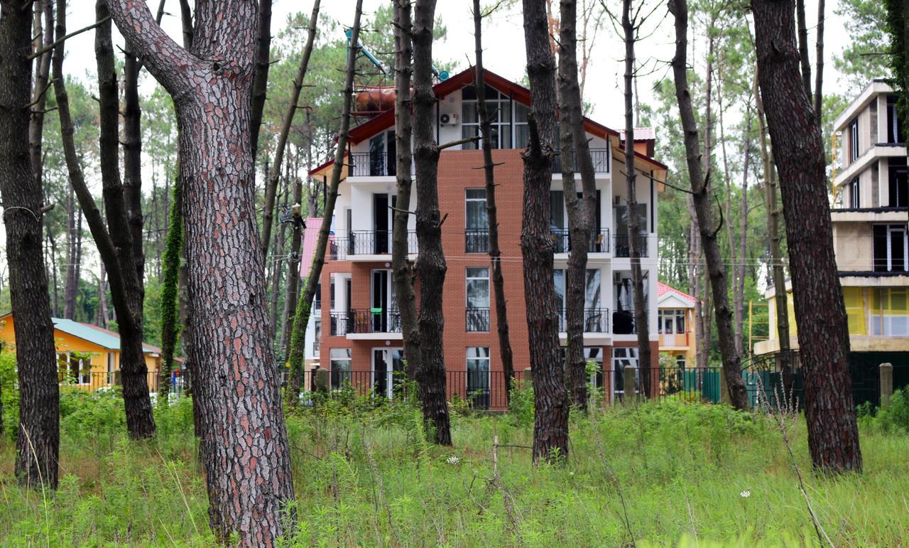 Gina Shekvetili Hotel Luaran gambar