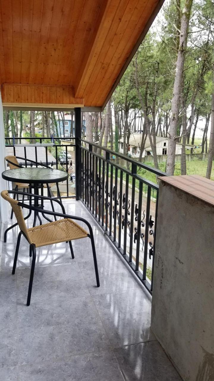 Gina Shekvetili Hotel Luaran gambar