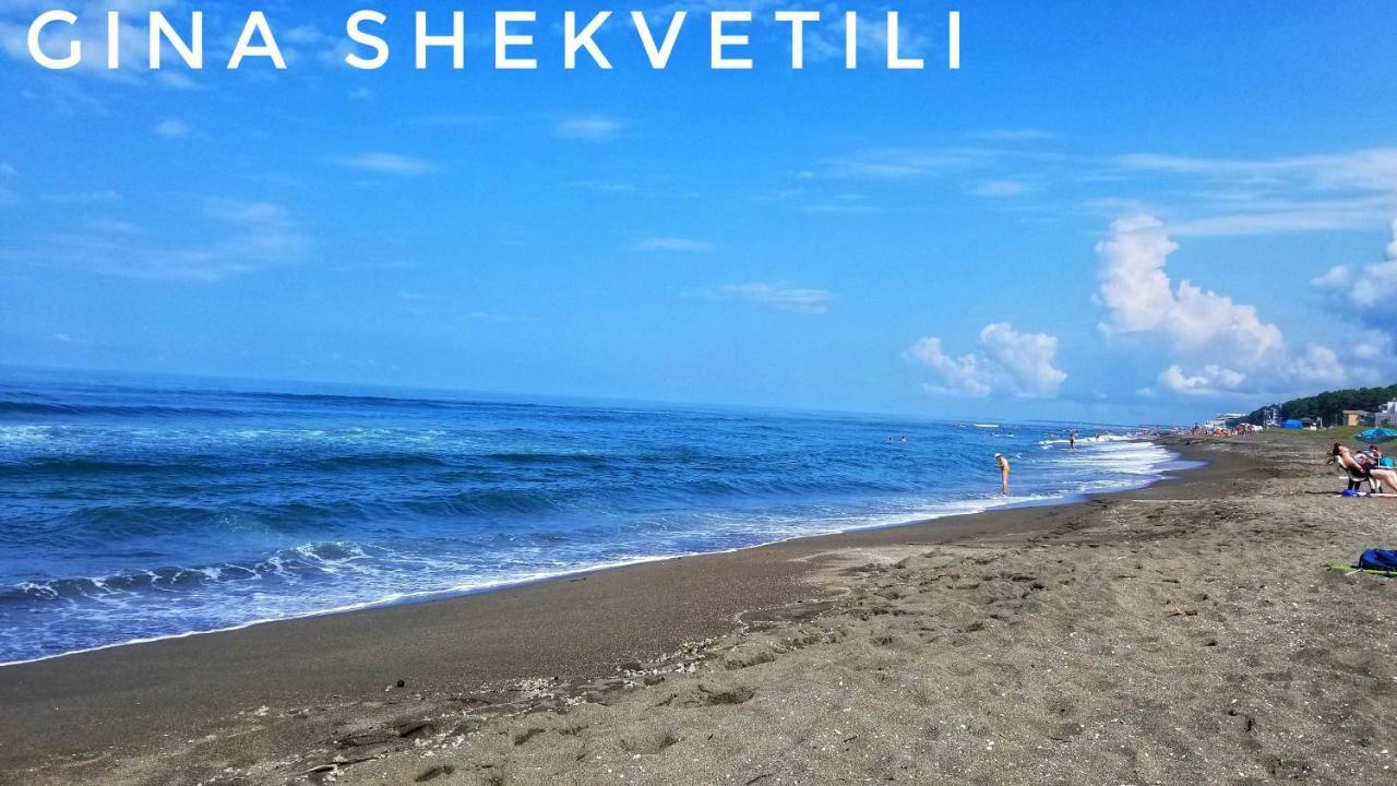 Gina Shekvetili Hotel Luaran gambar